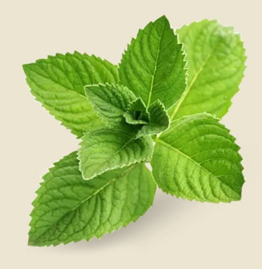Insta Soothe Ingredients